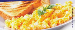 Low Protein Scrambled Egg and Omelette Mix